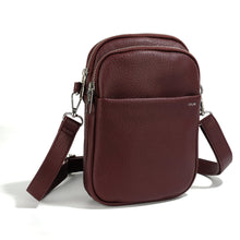 Load image into Gallery viewer, Co-Lab Park Lane Crossbody
